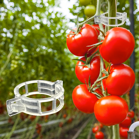 Set 50 de clipsuri pentru gradina